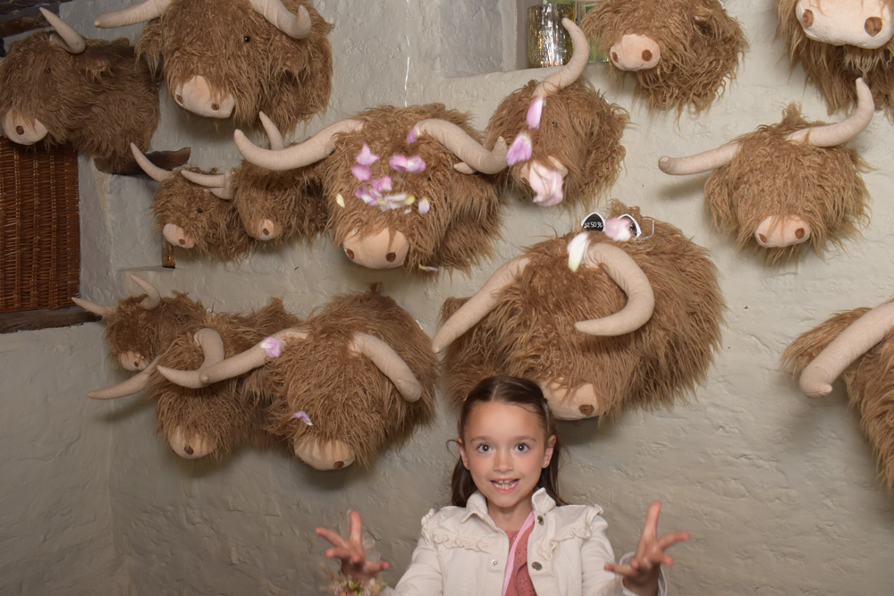 PartyBooth BY ELIAS WALPOT PHOTOGRAPHIE